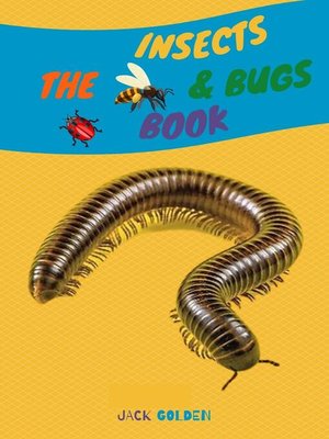 cover image of The Insects and Bugs Book